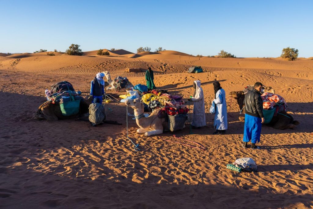 Randonnée Chamelière de 9 Jours à M’Hamid Randonnée Chamelière de 9 Jours à M’Hamid