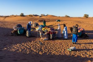 Randonnée Chamelière de 9 Jours à M’Hamid
