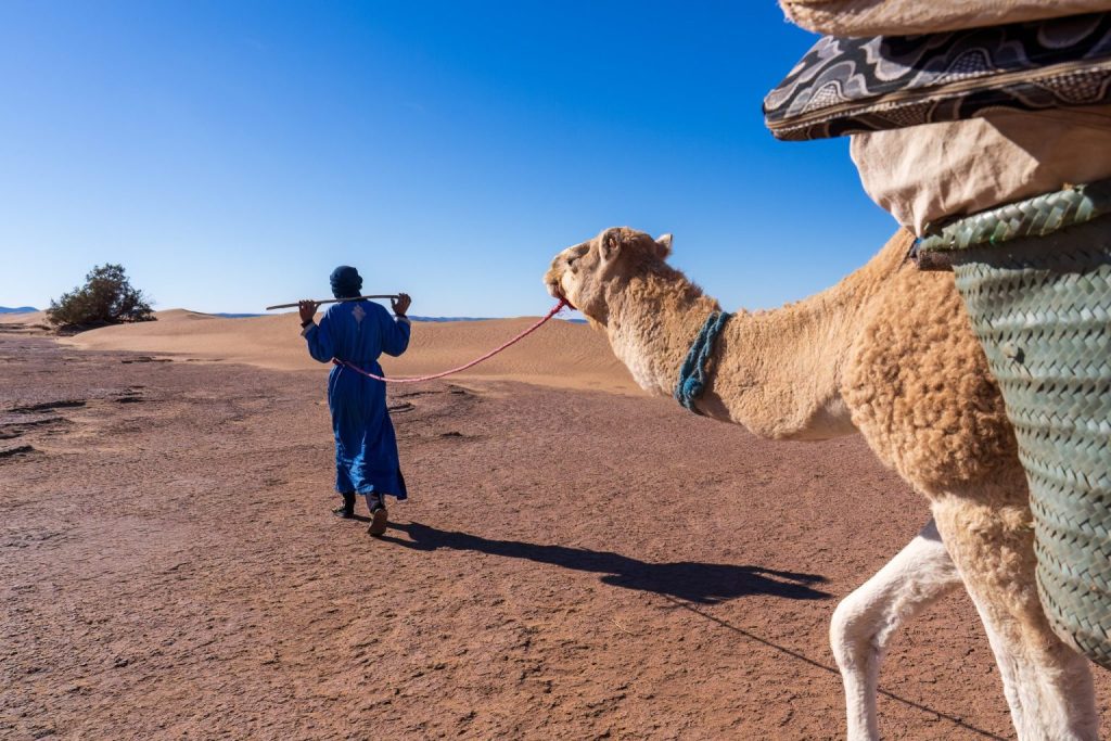 6 jours d’aventure dans le désert-marocain 6 jours d’aventure dans le désert marocain