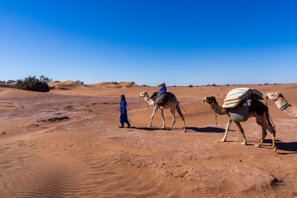 4 Jours trek familial dans le désert marocain