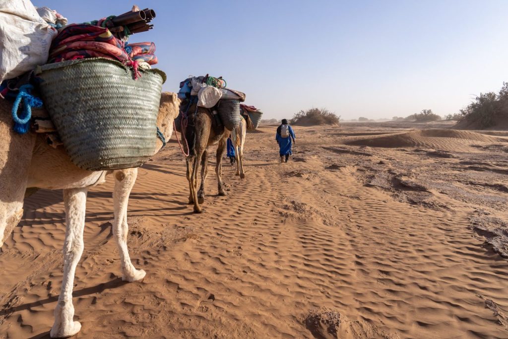 4 Jours trek familial dans le désert marocain