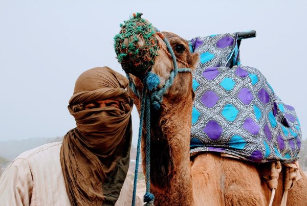 Les Traditions Inaltérables : Héritage vivant de M’Hamid El Ghizlane
