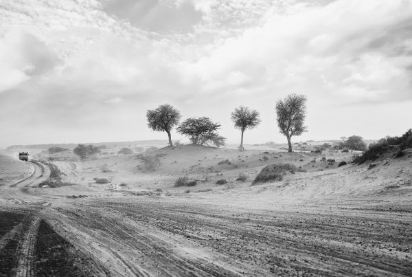 Les défis quotidiens dans le désert