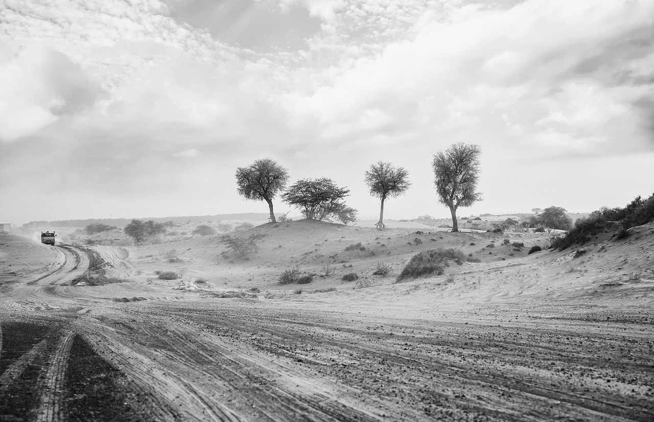 Les défis quotidiens dans le désert