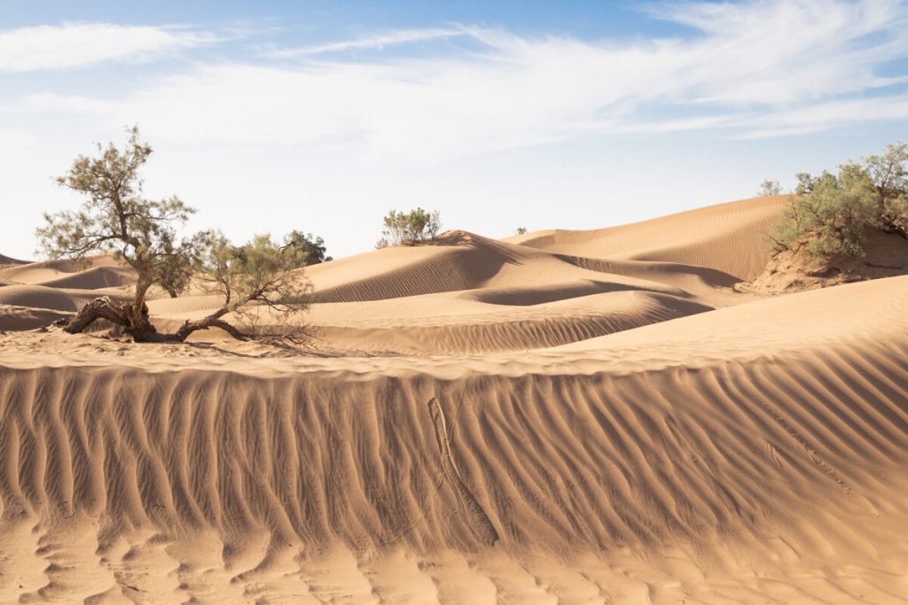 Trek de 5 jours dans-le-désert marocain Trek de 5 jours dans le désert marocain
