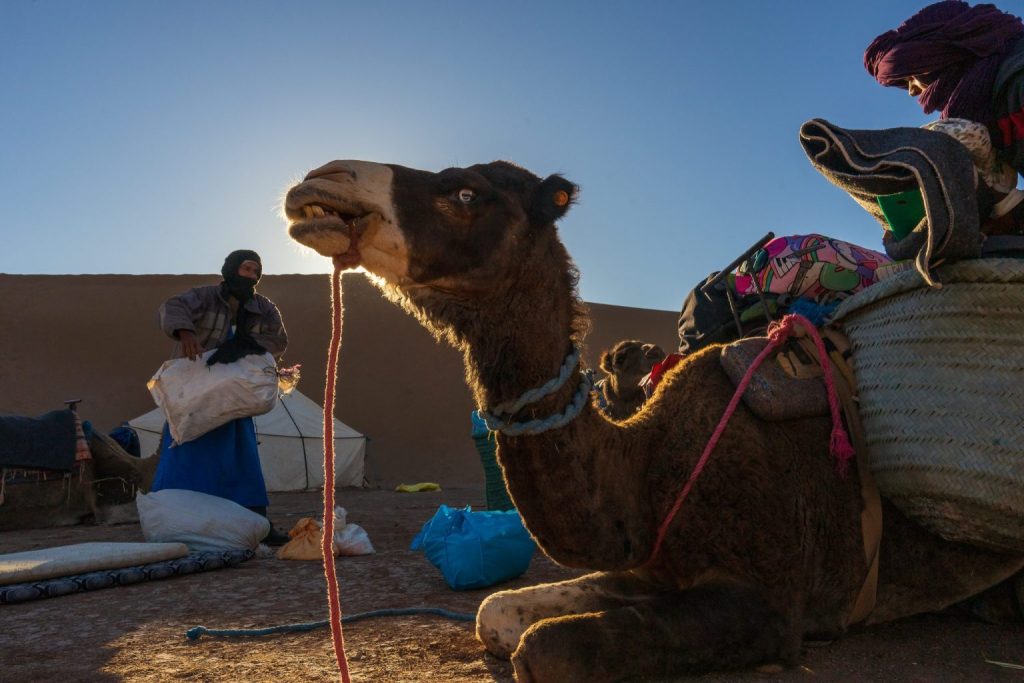 trek désert maroc 3 jours trek désert maroc 3 jours