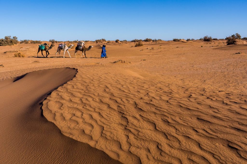 trek desert maroc 3 jours trek desert maroc 3 jours