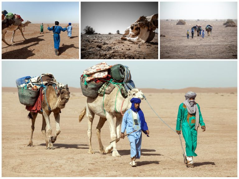 Randonnée Sahara Maroc