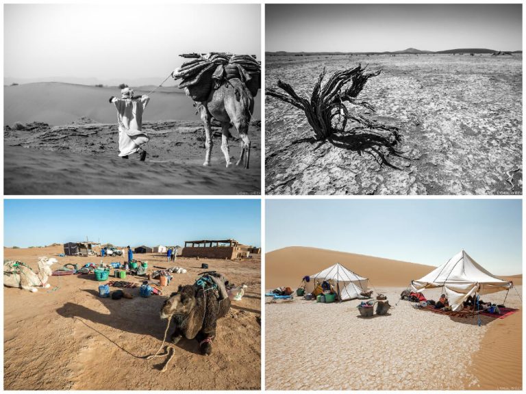 Trek Desert Maroc 6 Jours