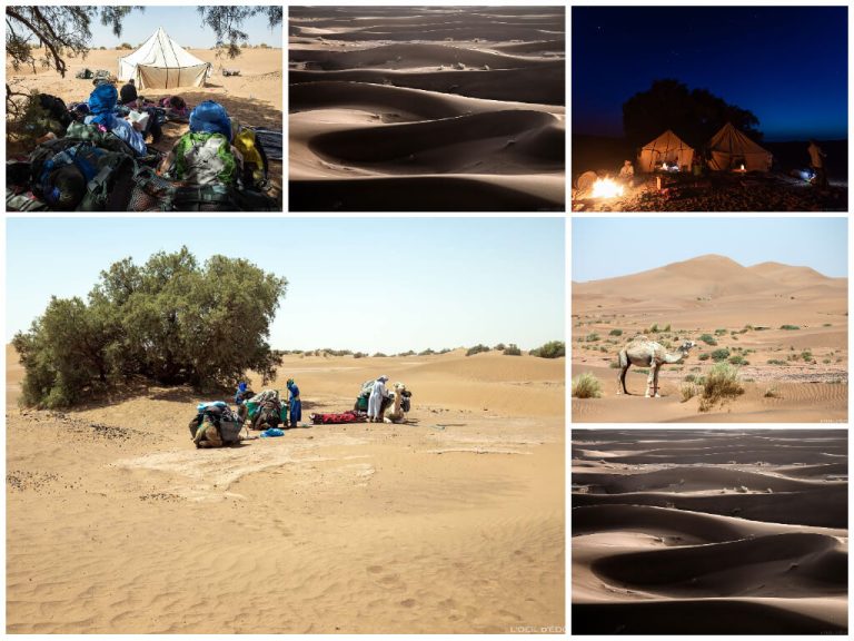 Trek Sahara Maroc 5 jours