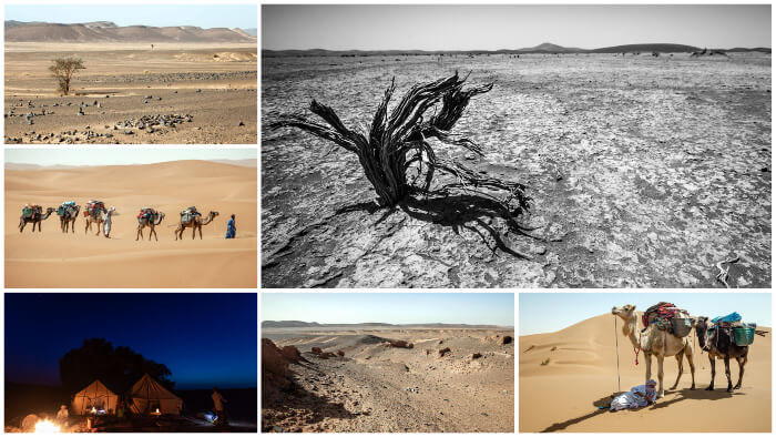 Trek Sahara Maroc 9 jours