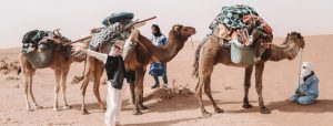 Trek Dans Le Désert Marocain