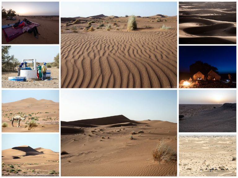 Trek familial dans le désert marocain