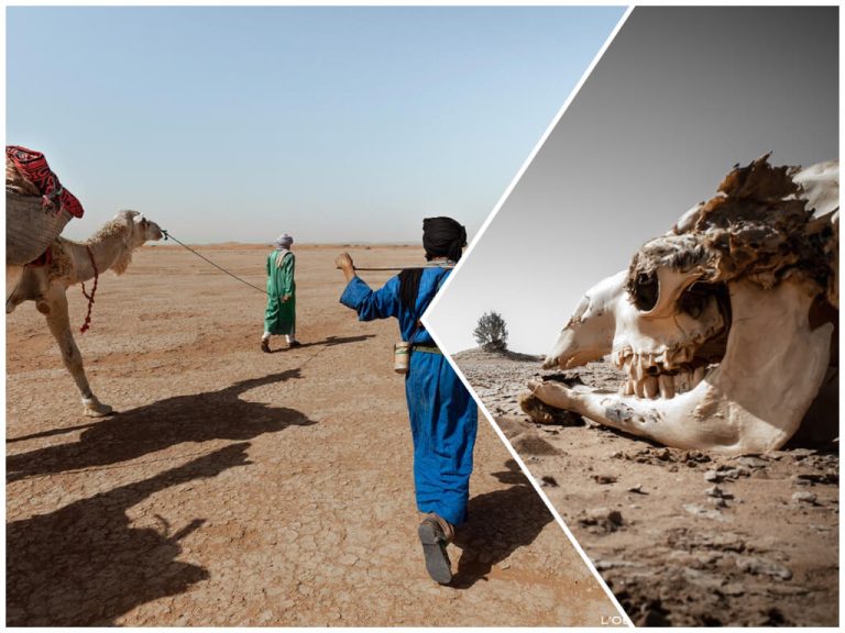 randonnée desert maroc