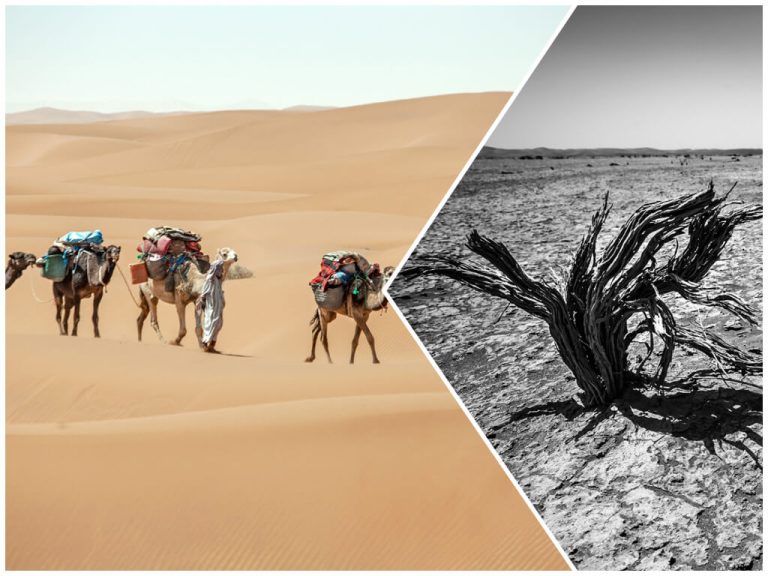 trek dans le desert maroc