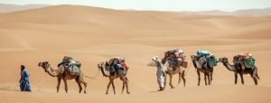trek dans le desert maroc