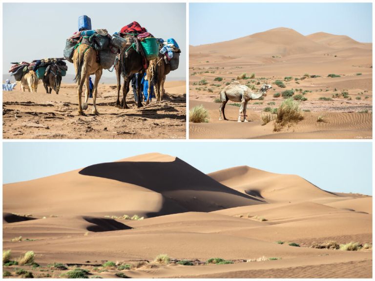 trek dans le desert maroc