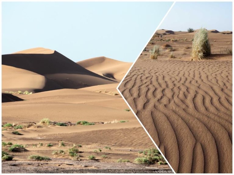trek dans le desert maroc