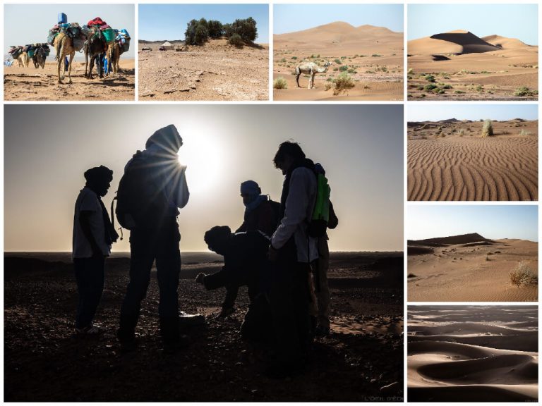 trek désert maroc