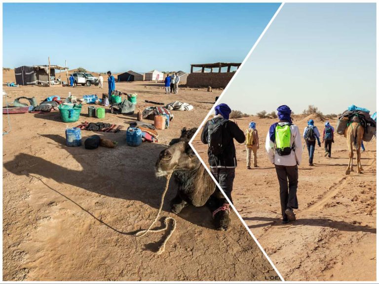 trek désert maroc