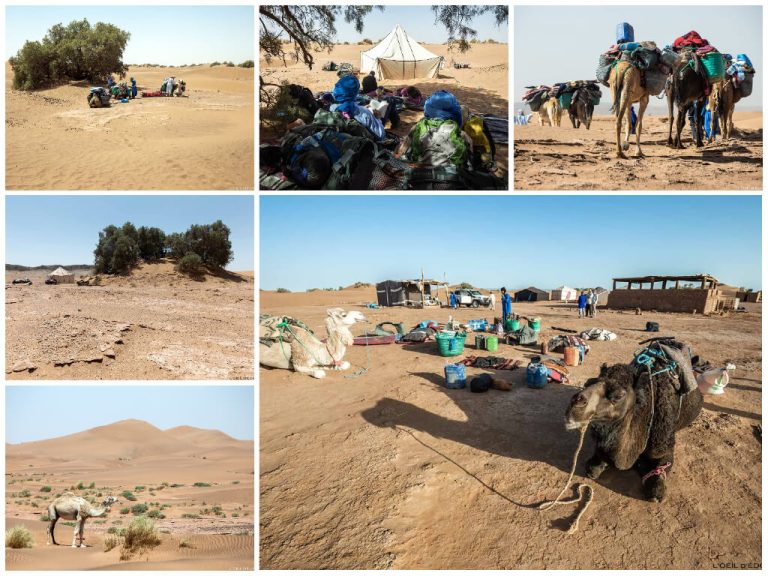 trek desert maroc famille