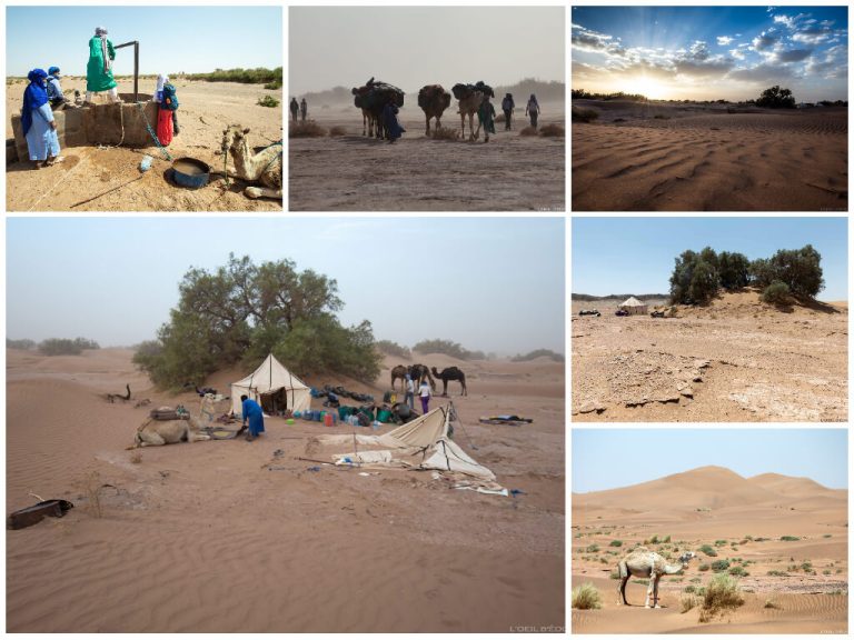 trekking desert maroc